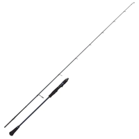 Westin W2 Hybrid Slow Jigging Rod 6ft 2in/20-120g